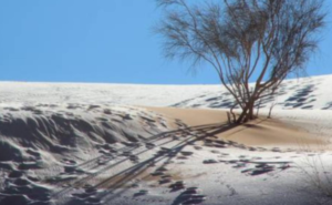 Sahara Desert Snowfall